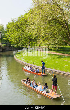 Inghilterra, Cambridgeshire, Cambridge, spalle, persone Punting Foto Stock