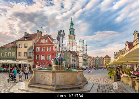 La Polonia, la città di Poznan, Stary Rynek, Palazzo Comunale, case pittoresche, Piazza della Città Vecchia Foto Stock