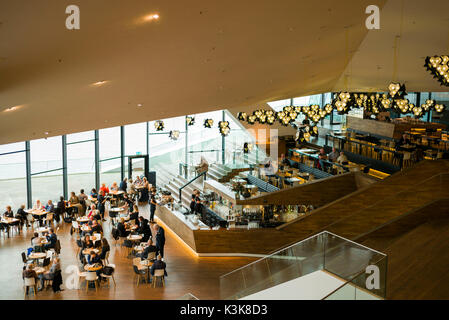 Paesi Bassi, Amsterdam, Eastern Docklands, Eye Film Institute, Cafe interior Foto Stock