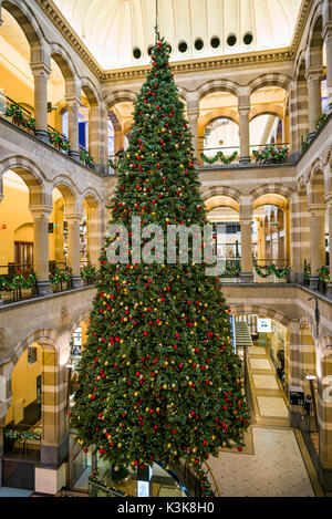 Paesi Bassi, Amsterdam, Magna Plaza shopping mall all'interno ex Post Office building, interno con albero di Natale Foto Stock