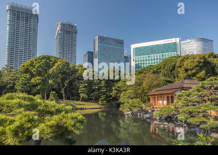 Giappone Tokyo City, Hama Rykiu giardino, Shimbashi Skyline Foto Stock