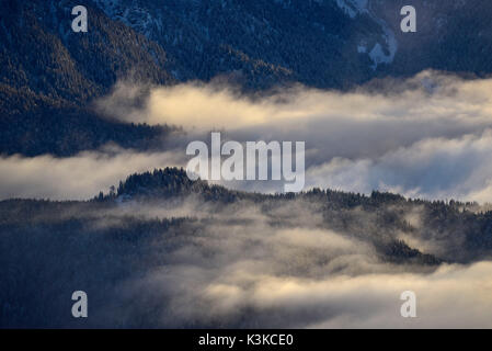 Vista dalla Herzogstand su un mare di nuvole e leggermente coperte di neve il legno vicino a Wallgau, Baviera. Foto Stock