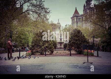 L'uomo alimenta studenti sordi a City Hall Park, tulipani, la molla nella bassa Manhattan, New York, Stati Uniti d'America Foto Stock