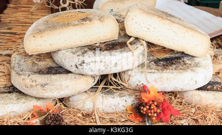 Vista dettagliata del formaggio italiano a Moncalvo fiera del tartufo. Foto Stock