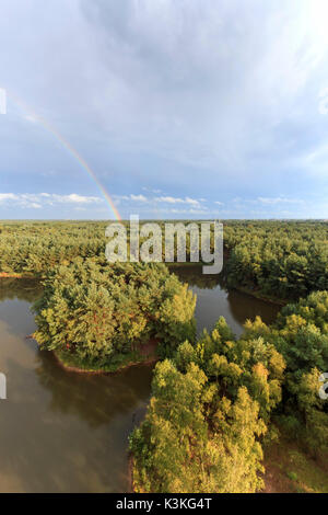 Rainbow al tramonto sulla foresta nel parco naturale chiamato Sahara Lommeles in Belgio Foto Stock