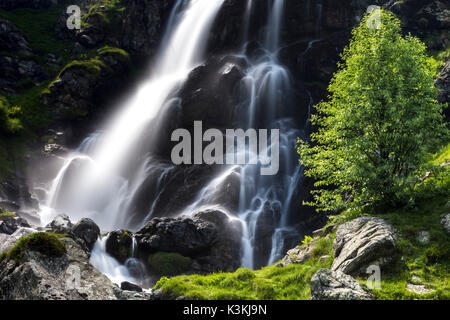 Il primo cascate del grande fiume Po', Crissolo, Po' Valley, Distretto di Cuneo, Piemonte, Italia. Foto Stock