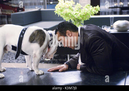 Il piano di gioco Tubbs, Dwayne Johnson il piano di gioco data: 2007 Foto Stock