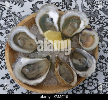 Ostriche e un littleneck clam in un'ICED BOWL con il limone Foto Stock