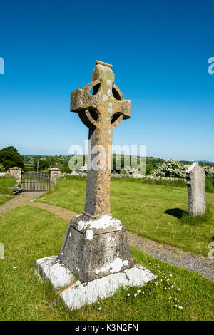 Old Kilcullen (Cill Chuilinn), nella contea di Kildare, provincia di Leinster, Irlanda, Europa. Alta Croce nel vecchio cimitero storico. Foto Stock