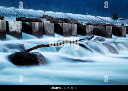 Un ramo nelle fredde acque vicino a diga Panperduto, Somma Lombardo, provincia di Varese, Lombardia, Italia. Foto Stock