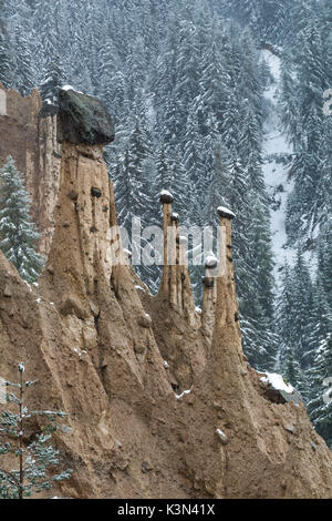 Perca/Perca, Alto Adige, Italia. Le piramidi di terra Foto Stock