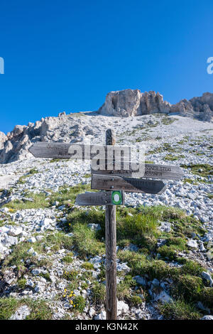 Odle di Eores, Dolomiti, Alto Adige, Italia. Markink sull'Alta Via Guenther Messner Foto Stock