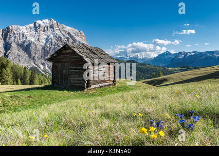 La Valle / Wengen, Alta Badia, Provincia Autonoma di Bolzano Alto Adige - Italia In pascoli del Pra de Rit Foto Stock