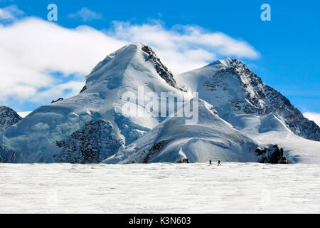 Gli alpinisti salire a Monte Rosa (gobba di Rollin), Valle d'Aosta, Italia, Europa. Foto Stock