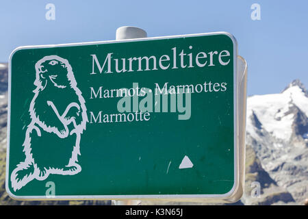 Europa Austria, Carinzia, Alti Tauri, Glockner gruppo. Segno, marmotte a Kaiser-Franz-Josefs-Hoehe davanti al Monte Grossglockner Foto Stock