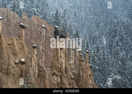 Perca/Perca, Alto Adige, Italia. Le piramidi di terra Foto Stock