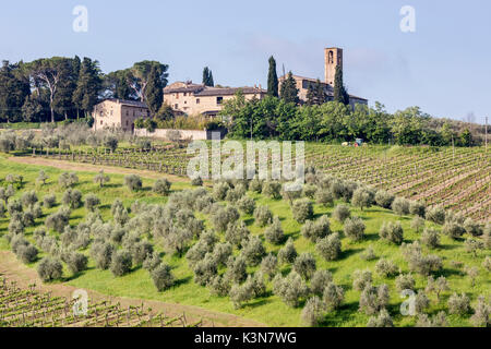 Agriturismo con vigneti e oliveti in Monteoliveto. Val d'Orcia, Siena district, Toscana, Italia. Foto Stock