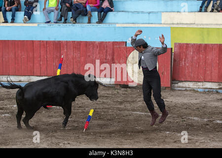 Giugno 18, 2017 Pujili, Ecuador: picador salta in alto nella parte anteriore della carica bull nell'arena Foto Stock