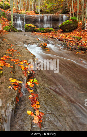 Foreste Casentinesi, appennino Toscano, Italia. Una cascata nel parco nazionale in autunno Foto Stock