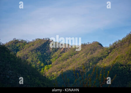 Sunrise sulle colline in estate, Foreste Casentinesi NP, Emilia Romagna, Italia Foto Stock