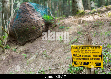 Rufa ant nest con un cartello che spiega il suo aiuto in legno di uccidere i parassiti, Foreste Casentinesi NP, Emilia Romagna distretto, Italia Foto Stock