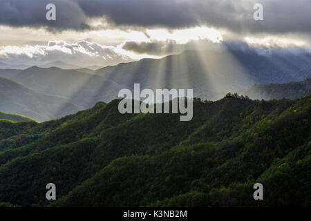 I raggi di luce sulle foreste in Appennino dopo una tempesta, il Parco Nazionale delle Foreste Casentinesi NP, Emilia Romagna NP, Italia Foto Stock