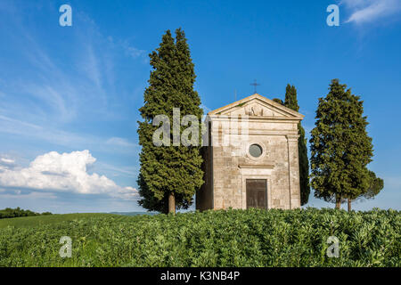 Madonna di Vitaleta, nella cappella di San Quirico d'Orcia. Val d'Orcia, Siena district, Toscana, Italia. Foto Stock