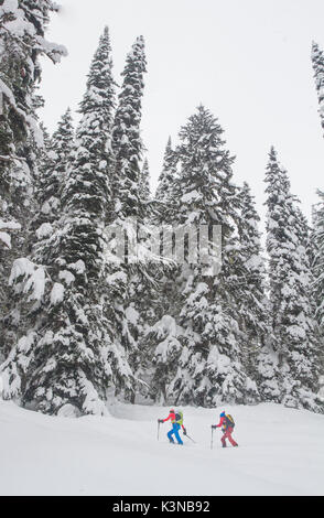 Gli sciatori in nevicato forrest di Roger pass durante l inverno - British Columbia - Canada Foto Stock