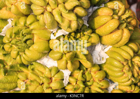 Buddha di limone la mano (Citrus medica var. sarcodactylis) in vendita in un mercato di Hanoi, Vietnam Foto Stock