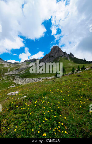 Gaver,Parco Adamello,Lombardia,Italia Foto Stock