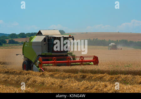 La raccolta del grano con la mietitrebbia Foto Stock