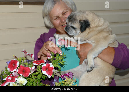 Close-up vecchio animale pug cane che è seduto su bracci senior grey-haired donna sorridente è uno sniffing di brillanti fiori di petunia. Foto Stock