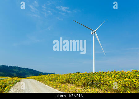 Turbina eolica in piedi nel campo di girasole su un profondo cielo blu. Fonti di energia rinnovabili concetto ecologico Foto Stock