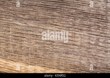Vecchio legno graffiato bog oak . Texture. Foto Stock