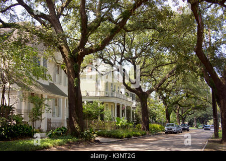 Case vittoriane e antiche querce fodera St. Charles Avenue. Uptown, New Orleans, LA. Foto Stock