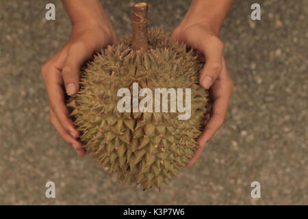Shopping durians frutta caldo in Thailandia Foto Stock