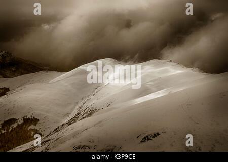 In bianco e nero in inverno Stara Planina, "vecchio" di montagna al confine tra Serbia e Bulgaria Foto Stock