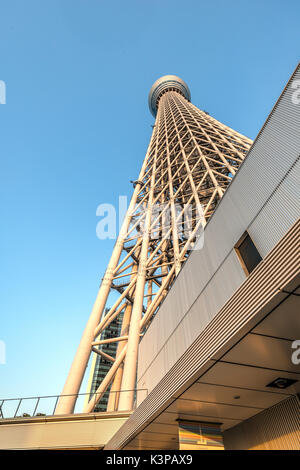 Tokyo Skytree (Tokyo Sukaitsurī) torre di osservazione a Sumida al tramonto, Tokyo, Giappone Foto Stock