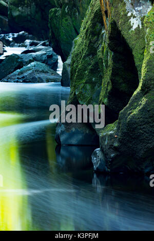 Il mistico e magico Fairy Glen o welsh Ffos Noddun nella profonda forra nascosta sul fiume Conwy in Galles del Nord vicino alla città di Betwys-y-coed Foto Stock