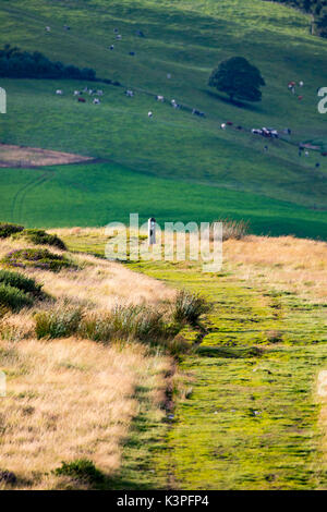 Offa's Dyke percorso su l'età del ferro hill fort di penycloddiau nella gamma clwydian sul denbigshire lato del percorso, Wales, Regno Unito Foto Stock