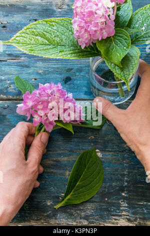 Vista dall'alto di una donna mani disponendo le ortensie in un vasetto di vetro su un rustico in legno tavolo blu Foto Stock