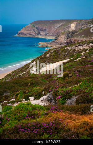 Bretagne, Francia. Campi di fiori portano al mare nella costa della Bretagna. Foto Stock