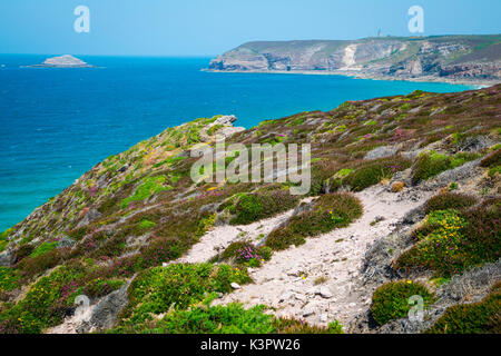 Bretagne, Francia. Campi di fiori portano al mare nella costa della Bretagna. Foto Stock