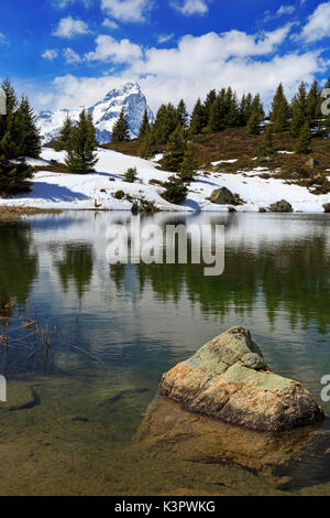 Il Piz Platta riflette sulla piccola Lais da Flix, Alp Flix, molla, Sur, Grigioni, Svizzera Foto Stock