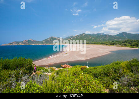 Il turchese del mare e della spiaggia incorniciata dal verde della vegetazione in estate Porto Corsica del Sud Francia Europa Foto Stock