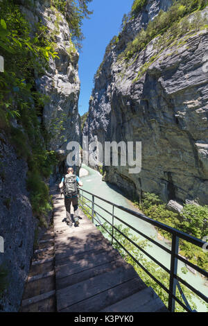 Escursionista sulla sicurezza la passerella sul torrente attraverso il Limestone Gorge Aare Gorge Oberland Bernese Cantone di Uri in Svizzera Europa Foto Stock