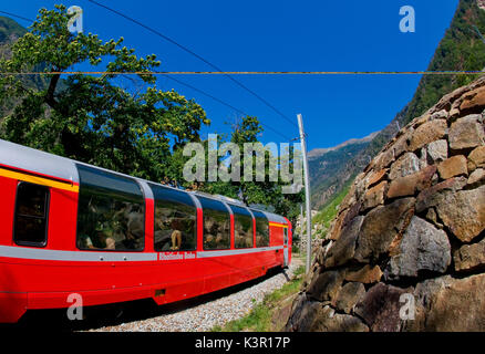 Il Bernina Express passando dai tipici crotti di Brusio, Val Poschiavo, Svizzera Europa Foto Stock