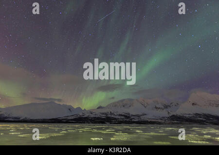 Luci del nord sul paesaggio gelido di Lyngen Svensby Alpi Tromsø Lapponia Norvegia Europa Foto Stock