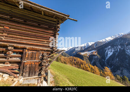 Cabina di legno circondato da boschi colorati e cime innevate Schmitten Albula Distretto Cantone dei Grigioni Svizzera Europa Foto Stock