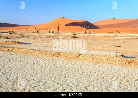 Terra arida e morti Acacia circondato da dune di sabbia Deadvlei Sossusvlei deserto del Namib Naukluft National Park Namibia Africa Foto Stock